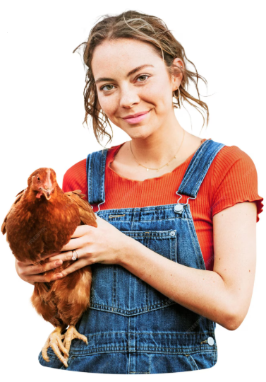 captura de pantalla 2026 02 04 165619